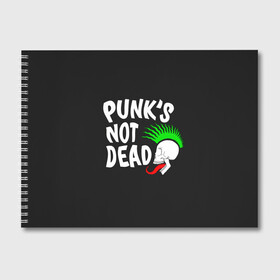 Альбом для рисования с принтом Веселый панк , 100% бумага
 | матовая бумага, плотность 200 мг. | alternative | music | punk | punks not dead | rock | альтернатива | музыка | панк | панки не умерают | панкс нот дэд | рок