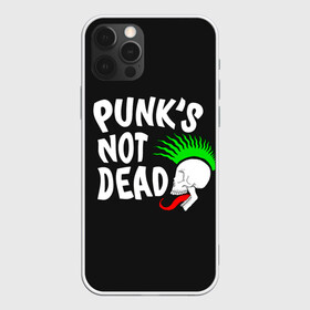 Чехол для iPhone 12 Pro с принтом Веселый панк , силикон | область печати: задняя сторона чехла, без боковых панелей | alternative | music | punk | punks not dead | rock | альтернатива | музыка | панк | панки не умерают | панкс нот дэд | рок