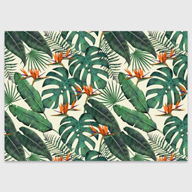 Поздравительная открытка с принтом Тропический паттерн , 100% бумага | плотность бумаги 280 г/м2, матовая, на обратной стороне линовка и место для марки
 | азия | акварель | акварельный | банановые листья | ботанический | винтажный | зеленый | иллюстрация | лес | летний | лето | монстера | оранжевый | отпуск | пальмовые листья | стрелиция | тропики