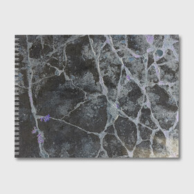 Альбом для рисования с принтом Лунный камень , 100% бумага
 | матовая бумага, плотность 200 мг. | Тематика изображения на принте: art | бетон | булыжник | луна | текстура | трещина