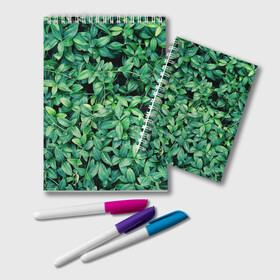 Блокнот с принтом Барвинок  , 100% бумага | 48 листов, плотность листов — 60 г/м2, плотность картонной обложки — 250 г/м2. Листы скреплены удобной пружинной спиралью. Цвет линий — светло-серый
 | art | ветви. | зелень | листья | натуральное | природа | растение
