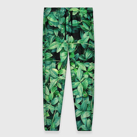 Женские брюки 3D с принтом Барвинок  , полиэстер 100% | прямой крой, два кармана без застежек по бокам, с мягкой трикотажной резинкой на поясе и по низу штанин. В поясе для дополнительного комфорта — широкие завязки | art | ветви. | зелень | листья | натуральное | природа | растение