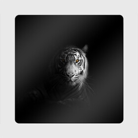 Магнит виниловый Квадрат с принтом БЕЛЫЙ ТИГР , полимерный материал с магнитным слоем | размер 9*9 см, закругленные углы | Тематика изображения на принте: animal | art | beast | cat | hunter | picture | power | strong | tiger | white | белый | благородный | гордый | дикие | животные | звери | кошки | охотник | тигр | хищник | царь