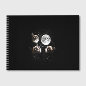 Альбом для рисования с принтом ГРУСТНЫЕ ЛУННЫЕ КОТЫ , 100% бумага
 | матовая бумага, плотность 200 мг. | Тематика изображения на принте: cat | cosmo | face | memes | night | sky | stars | голова | звезды | интернет | космос | коты | кошки | лицо | луна | мем | ночь | отражение | прикол | рисунок