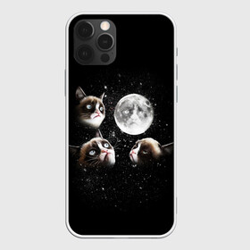 Чехол для iPhone 12 Pro Max с принтом ГРУСТНЫЕ ЛУННЫЕ КОТЫ , Силикон |  | cat | cosmo | face | memes | night | sky | stars | голова | звезды | интернет | космос | коты | кошки | лицо | луна | мем | ночь | отражение | прикол | рисунок