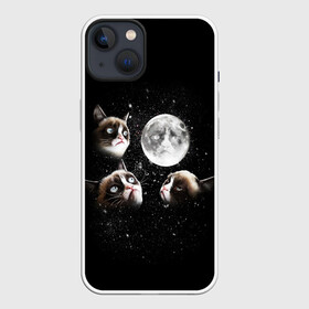 Чехол для iPhone 13 с принтом ГРУСТНЫЕ ЛУННЫЕ КОТЫ ,  |  | cat | cosmo | face | memes | night | sky | stars | голова | звезды | интернет | космос | коты | кошки | лицо | луна | мем | ночь | отражение | прикол | рисунок