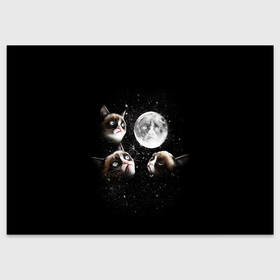 Поздравительная открытка с принтом ГРУСТНЫЕ ЛУННЫЕ КОТЫ , 100% бумага | плотность бумаги 280 г/м2, матовая, на обратной стороне линовка и место для марки
 | Тематика изображения на принте: cat | cosmo | face | memes | night | sky | stars | голова | звезды | интернет | космос | коты | кошки | лицо | луна | мем | ночь | отражение | прикол | рисунок