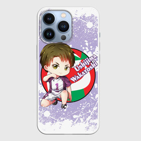 Чехол для iPhone 13 Pro с принтом Ushijima Wakatoshi | Haikyu | Волейбол (Z) ,  |  | haikuu | haikyu | haikyuu | ushijima wakatoshi | волейбол | маленький гигант | сёё | сёё хината | спортивная манга | хайку | хайкю | хината