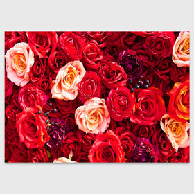 Поздравительная открытка с принтом Букет роз , 100% бумага | плотность бумаги 280 г/м2, матовая, на обратной стороне линовка и место для марки
 | большие | букет | девушкам | красивые | пышные | розы | цветы | яркие