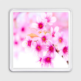 Магнит 55*55 с принтом Весеннее цветение вишни , Пластик | Размер: 65*65 мм; Размер печати: 55*55 мм | Тематика изображения на принте: бутоны | весна | девушкам | красивые | розовые | сакура | цветение | цветы | яблоня