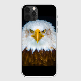 Чехол для iPhone 12 Pro с принтом Белоголовый орлан , силикон | область печати: задняя сторона чехла, без боковых панелей | грозный | красивый | опасный | орлан | пернатый | птица | хищный