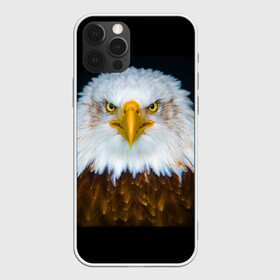 Чехол для iPhone 12 Pro Max с принтом Белоголовый орлан , Силикон |  | грозный | красивый | опасный | орлан | пернатый | птица | хищный