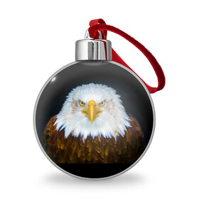 Ёлочный шар с принтом Белоголовый орлан , Пластик | Диаметр: 77 мм | грозный | красивый | опасный | орлан | пернатый | птица | хищный