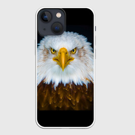 Чехол для iPhone 13 mini с принтом Белоголовый орлан ,  |  | грозный | красивый | опасный | орлан | пернатый | птица | хищный