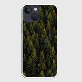 Чехол для iPhone 13 mini с принтом лес вечный ,  |  | вечный | военный | деревья | камуфляж | лес | охотник | патриот | природа | россия | свобода | сибирь | солдат | тайга