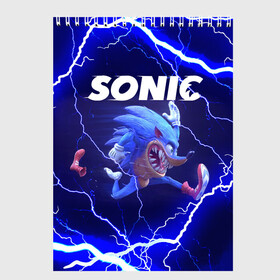 Скетчбук с принтом SONIC | СОНИК (Z) , 100% бумага
 | 48 листов, плотность листов — 100 г/м2, плотность картонной обложки — 250 г/м2. Листы скреплены сверху удобной пружинной спиралью | blaze the cat | hedgehog | sega | silver | sonic | speed sonic | быстрый ёж | ёж соник | метал соник | сега | сильвер | синий ёж | соник