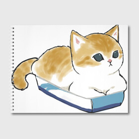 Альбом для рисования с принтом Котёнок отдыхает , 100% бумага
 | матовая бумага, плотность 200 мг. | Тематика изображения на принте: арт | кот | котёнок | кошка | милая кошка | милый кот | милый котёнок | отдых | пончик | рисунок | рыжая кошка | рыжий кот | рыжий котёнок