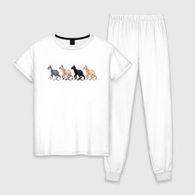 Женская пижама хлопок с принтом Сфинксы , 100% хлопок | брюки и футболка прямого кроя, без карманов, на брюках мягкая резинка на поясе и по низу штанин | группа котов | домашние любимцы | животные | кот | коты | лысый кот | сфинкс