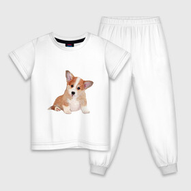 Детская пижама хлопок с принтом Fluffy Corgi , 100% хлопок |  брюки и футболка прямого кроя, без карманов, на брюках мягкая резинка на поясе и по низу штанин
 | corgi | dog | fluffy | puppy | корги | милый | пушистый | собака | щенок
