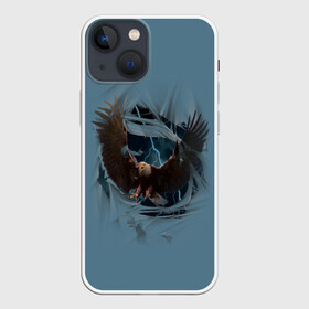 Чехол для iPhone 13 mini с принтом ОРЕЛ СКВОЗЬ ТКАНЬ ,  |  | animal | bird | eagle | hunter | power | гордый | гроза | животные | звери | молния | мощь | орел | природа | птица | сила | хищник