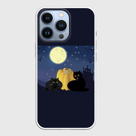 Чехол для iPhone 13 Pro с принтом Котострашилка ,  |  | halloween | helloween | ведьма | котики | мистика | мистический дом | ночь | страшно | тыква | хеллоуин | хэллоуин