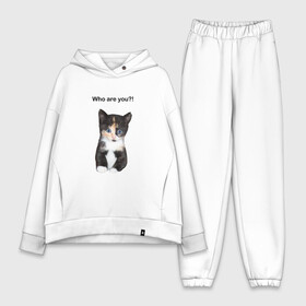 Женский костюм хлопок Oversize с принтом Кот с вопросом ,  |  | cat | cute | inscription | philosopher | question | surprise | tricolor | вопрос | кот | кошка | милый | надпись | трехцветный | удивление | философ