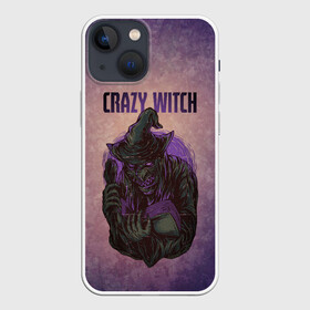 Чехол для iPhone 13 mini с принтом Crazy Witch ,  |  | halloween | арт | ведьма | графика | мистика | праздник | ужасы | хэллоуин