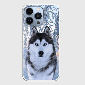 Чехол для iPhone 13 Pro с принтом Хаски В Зимнем Лесу ,  |  | dog | forest | husky | winter | зима | лес | новый год | снег | собака | хаски