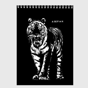 Скетчбук с принтом А вот и я, бандерлоги , 100% бумага
 | 48 листов, плотность листов — 100 г/м2, плотность картонной обложки — 250 г/м2. Листы скреплены сверху удобной пружинной спиралью | 2022 | and here i am | big cat | came | new year | predator | tiger | year of the tiger | а вот и я | большая кошка | год тигра | новый год | пришел | тигр | хищник
