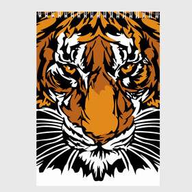 Скетчбук с принтом Взгляд хозяина джунглей , 100% бумага
 | 48 листов, плотность листов — 100 г/м2, плотность картонной обложки — 250 г/м2. Листы скреплены сверху удобной пружинной спиралью | 2022 | african | direct look | master of the jungle | muzzle | new year | predator | tiger | year of the tiger | африканский | год тигра | новый год | прямой взгляд | тигр | хищник | хозяин джунглей
