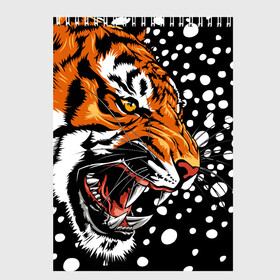 Скетчбук с принтом Амурский тигр и снегопад , 100% бумага
 | 48 листов, плотность листов — 100 г/м2, плотность картонной обложки — 250 г/м2. Листы скреплены сверху удобной пружинной спиралью | 2022 | amur tiger | beast | grin | new year | night | open mouth | predator | profile | snowfall | winter | year of the tiger | амурский тигр | год тигра | зверь | зима | новый год | ночь | оскал | открытая пасть | профиль | снегопад | хищник