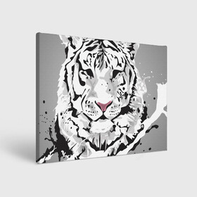 Холст прямоугольный с принтом Белый снежный тигр , 100% ПВХ |  | 2022 | art | beast | new year | predator | splashes and drops | white tiger | year of the tiger | белый тигр | брызги и капли | год тигра | зверь | искусство | новый год | хищник