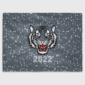 Плед 3D с принтом Водяной тигр 2022 , 100% полиэстер | закругленные углы, все края обработаны. Ткань не мнется и не растягивается | 2022 | beast | fangs | merry christmas | new year | predator | snow | stars | stern grin | water tiger | winter | year of the tiger | водяной тигр | год тигра | звезды | зверь | зима | клыки | новый год | снег | суровый оскал | хищник