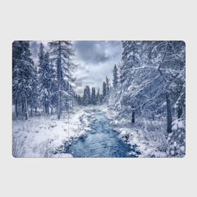 Магнитный плакат 3Х2 с принтом СНЕЖНЫЙ ПЕЙЗАЖ , Полимерный материал с магнитным слоем | 6 деталей размером 9*9 см | fores | ice | snow | white | winter | белый | вода | зима | иней | красота | лед | лес | мороз | небо | новый год | пейзаж | природа | река | ручей | снег