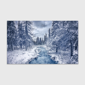 Бумага для упаковки 3D с принтом СНЕЖНЫЙ ПЕЙЗАЖ , пластик и полированная сталь | круглая форма, металлическое крепление в виде кольца | fores | ice | snow | white | winter | белый | вода | зима | иней | красота | лед | лес | мороз | небо | новый год | пейзаж | природа | река | ручей | снег