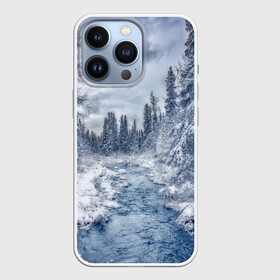 Чехол для iPhone 13 Pro с принтом СНЕЖНЫЙ ПЕЙЗАЖ ,  |  | fores | ice | snow | white | winter | белый | вода | зима | иней | красота | лед | лес | мороз | небо | новый год | пейзаж | природа | река | ручей | снег