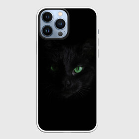 Чехол для iPhone 13 Pro Max с принтом Хочу быть кошкой ,  |  | Тематика изображения на принте: cat | глаза кошки | зеленоглазая кошка | кот | кошка