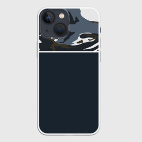 Чехол для iPhone 13 mini с принтом Камуфляж 2.0 ,  |  | военное | камуфляж | пестрое | пестрый | яркий