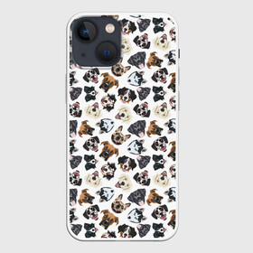 Чехол для iPhone 13 mini с принтом Разные Породы Собак ,  |  | animal | dog | барбос | бобик | год собаки | друг человека | животное | зверь | ищейка | кинолог | кость | лайка | лапы | пес | собака | собачка | хищник | четвероногий | шарик | щенок