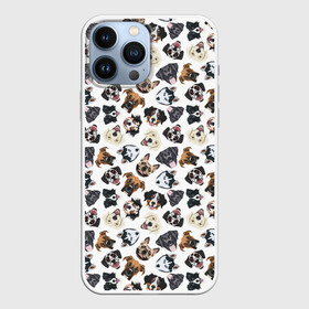 Чехол для iPhone 13 Pro Max с принтом Разные Породы Собак ,  |  | animal | dog | барбос | бобик | год собаки | друг человека | животное | зверь | ищейка | кинолог | кость | лайка | лапы | пес | собака | собачка | хищник | четвероногий | шарик | щенок