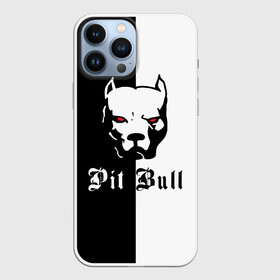 Чехол для iPhone 13 Pro Max с принтом Pit Bull (боец) ,  |  | boxer | bulldog | fighting dog | pit bull | барбос | бобик | бойцовская собака | бойцовский пес | боксер | бульдог | волкодав | год со | друг человека | животное | зверь | ищейка | кинолог | кость | лайка | лапы | лев | пес