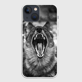 Чехол для iPhone 13 mini с принтом Волчья пасть, зевает ,  |  | wolf | wolfs | волк | волка | волки | волчара | волчья | животные | звери | зевает | лес | оскал | пасть | природа