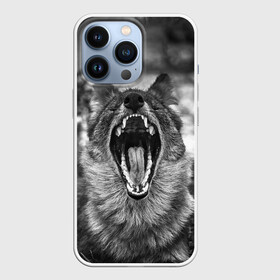 Чехол для iPhone 13 Pro с принтом Волчья пасть, зевает ,  |  | wolf | wolfs | волк | волка | волки | волчара | волчья | животные | звери | зевает | лес | оскал | пасть | природа