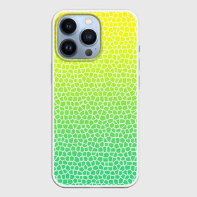 Чехол для iPhone 13 Pro с принтом Витражная мозаика ,  |  | Тематика изображения на принте: витраж | градиент | зеленое стекло | зеленый | зеленый радуга | зеленый сети | лимон | мозаика | радуга | светло зеленый | соты | яркий