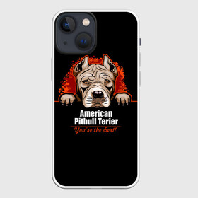 Чехол для iPhone 13 mini с принтом Американский Питбультерьер (Pit Bull) ,  |  | Тематика изображения на принте: american pit bull terrier | boxer | bulldog | fighting dog | pit bull | американский питбультерьер | бойцовская собака | бойцовский пес | боксер | бульдог | волкодав | друг человека | кинолог | пес | питбуль | питбультерьер