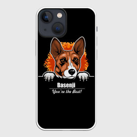 Чехол для iPhone 13 mini с принтом Басенджи (Basenji) ,  |  | african dog | animal | basenji | congo terrier | dog | африканская собака | басенджи | год собаки | друг человека | животное | зверь | кинолог | конго терьер | пёс | собака басенджи | собаковод | четвероногий