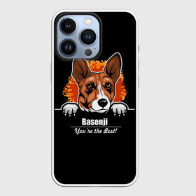 Чехол для iPhone 13 Pro с принтом Басенджи (Basenji) ,  |  | african dog | animal | basenji | congo terrier | dog | африканская собака | басенджи | год собаки | друг человека | животное | зверь | кинолог | конго терьер | пёс | собака басенджи | собаковод | четвероногий