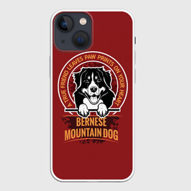 Чехол для iPhone 13 mini с принтом Бернский Зенненхунд (Bernese Mountain) ,  |  | anim | bernese mountain dog | bernese sheepdog | dog | бернская овчарка | бернский зенненхунд | год собаки | друг человека | животное | зверь | кинолог | овчарка | пастушья собака | пёс | порода собак