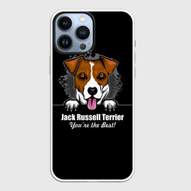 Чехол для iPhone 13 Pro Max с принтом Джек Рассел Терьер (Jack Russell Terrier) ,  |  | animal | dog terrier | jack russell terrier | год собаки | джек рассел терьер | друг человека | животное | зверь | кинолог | охотничья собака | пёс | пёсик | собака джек рассел терьер | собаковод | терьер