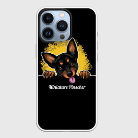 Чехол для iPhone 13 Pro с принтом Пинчер (Miniature Pinscher) ,  |  | animal | dog | german pinscher | min pi | miniature pinscher | pinscher | год собаки | друг человека | животное | зверь | кинолог | мин пин | миниатюрный пинчер | немецкий пинчер | пёс | пинчер | порода собак | собака